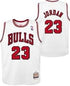 chicago bulls jersey 23